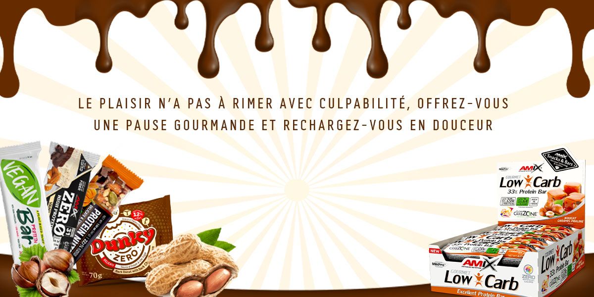 Bannière_AMIX