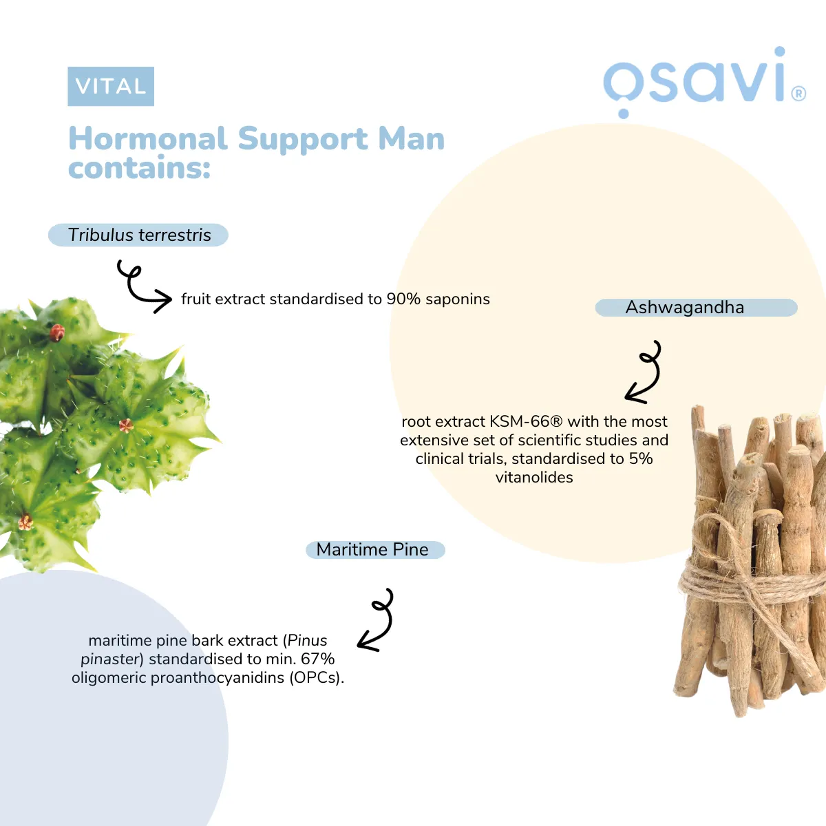 Osavi – Hormonal support Man – 60 Capsules – Image 3